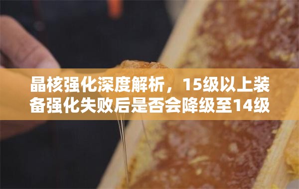 晶核强化深度解析，15级以上装备强化失败后是否会降级至14级真相揭秘