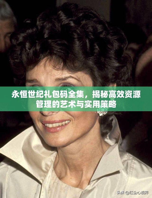 永恒世纪礼包码全集，揭秘高效资源管理的艺术与实用策略