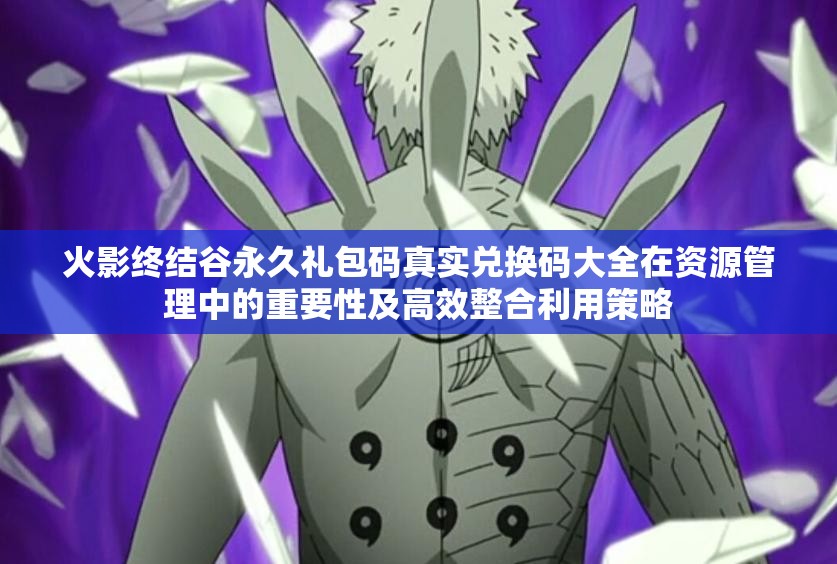 火影终结谷永久礼包码真实兑换码大全在资源管理中的重要性及高效整合利用策略
