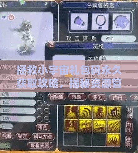 拯救小宇宙礼包码永久获取攻略，揭秘资源管理高效策略，实现价值最大化