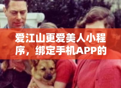 爱江山更爱美人小程序，绑定手机APP的重要性解析与高效管理策略实施