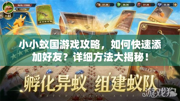 小小蚁国游戏攻略，如何快速添加好友？详细方法大揭秘！