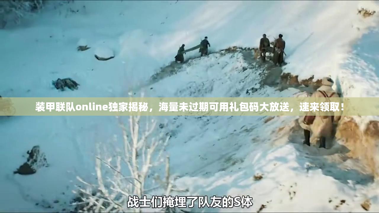 装甲联队online独家揭秘，海量未过期可用礼包码大放送，速来领取！