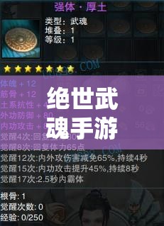 绝世武魂手游攻略，揭秘最强T0职业，助你轻松称霸游戏江湖秘籍