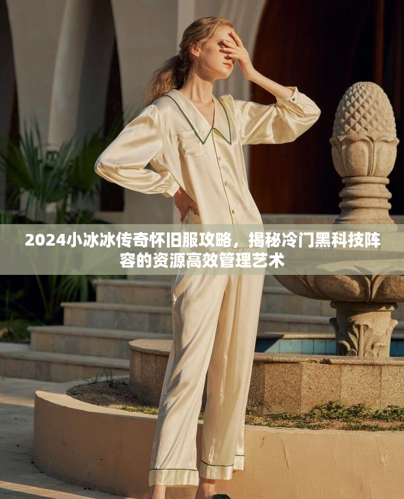 2024小冰冰传奇怀旧服攻略，揭秘冷门黑科技阵容的资源高效管理艺术