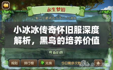 小冰冰传奇怀旧服深度解析，黑鸟的培养价值与最佳阵容搭配策略