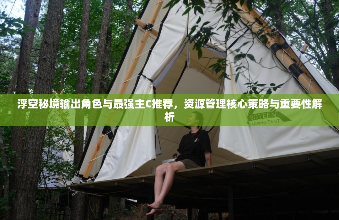 浮空秘境输出角色与最强主C推荐，资源管理核心策略与重要性解析