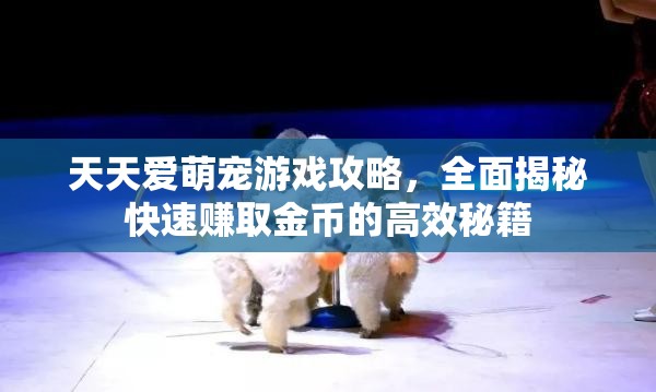 天天爱萌宠游戏攻略，全面揭秘快速赚取金币的高效秘籍