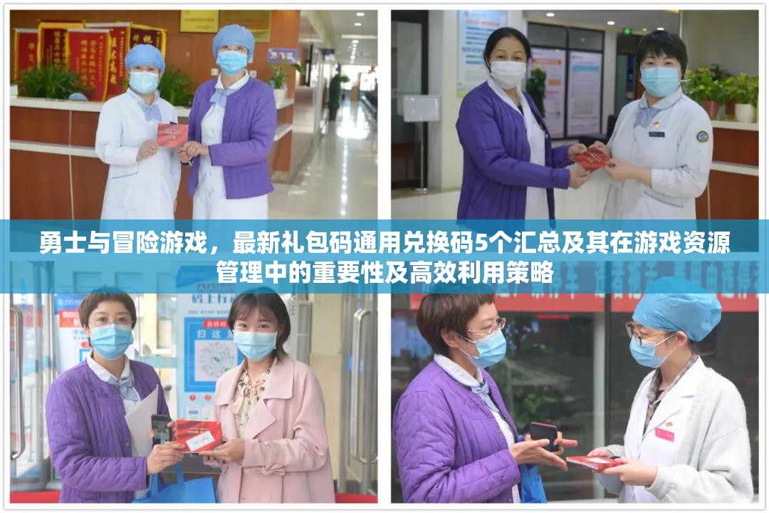 勇士与冒险游戏，最新礼包码通用兑换码5个汇总及其在游戏资源管理中的重要性及高效利用策略