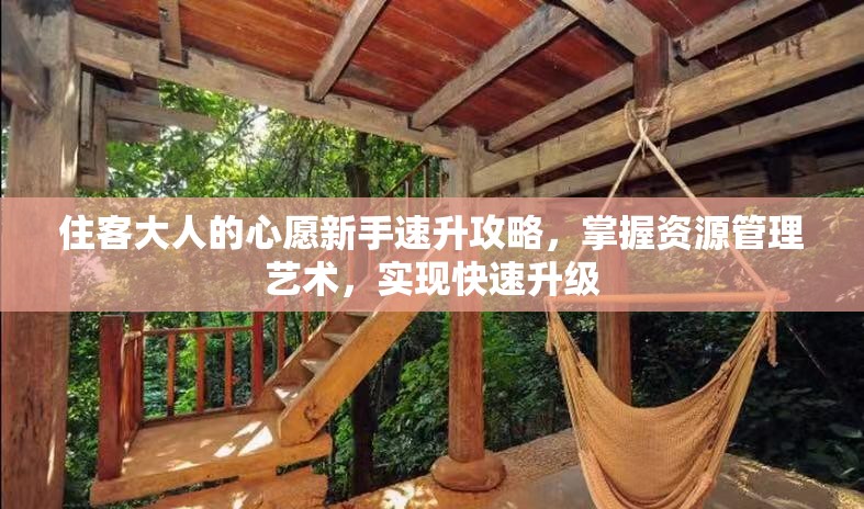 住客大人的心愿新手速升攻略，掌握资源管理艺术，实现快速升级