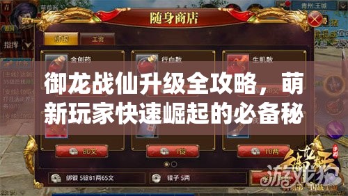 御龙战仙升级全攻略，萌新玩家快速崛起的必备秘籍与技巧
