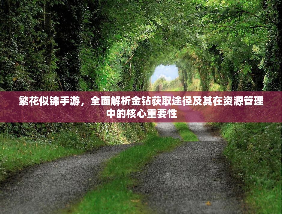 繁花似锦手游，全面解析金钻获取途径及其在资源管理中的核心重要性