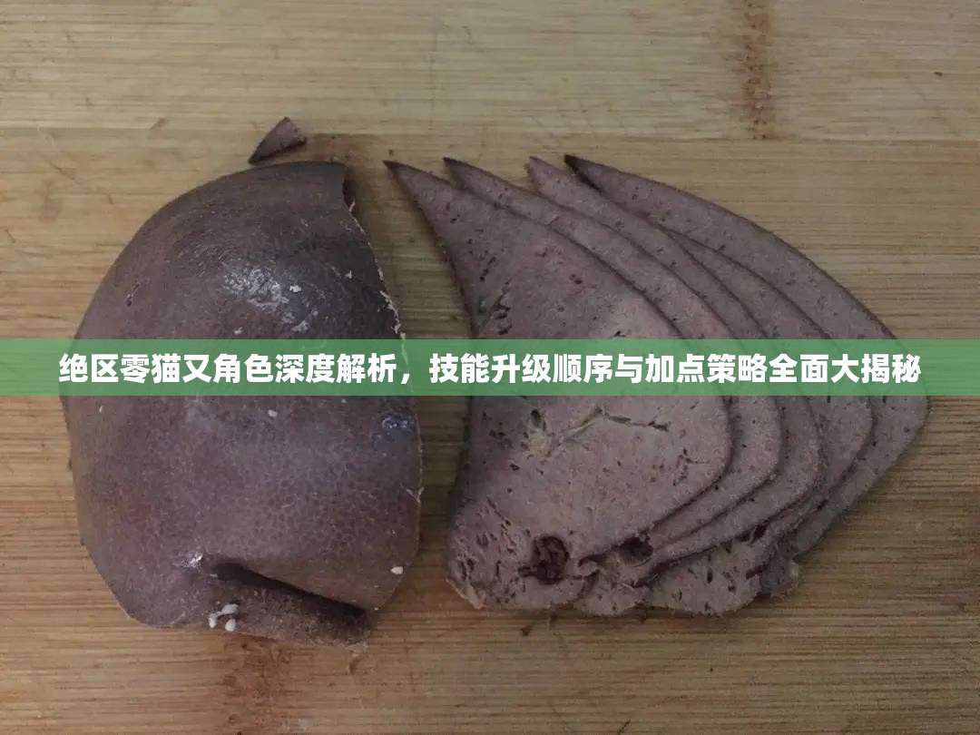 绝区零猫又角色深度解析，技能升级顺序与加点策略全面大揭秘