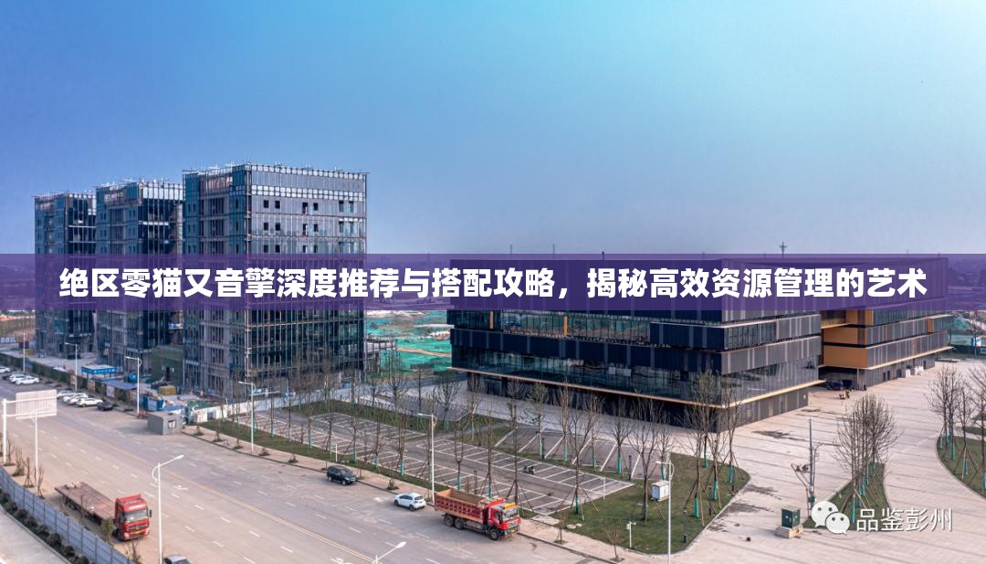 绝区零猫又音擎深度推荐与搭配攻略，揭秘高效资源管理的艺术