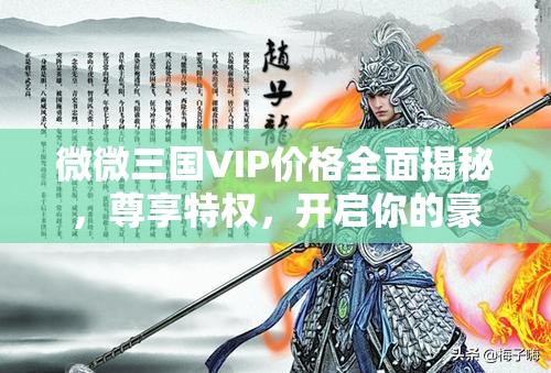 微微三国VIP价格全面揭秘，尊享特权，开启你的豪华三国游戏之旅
