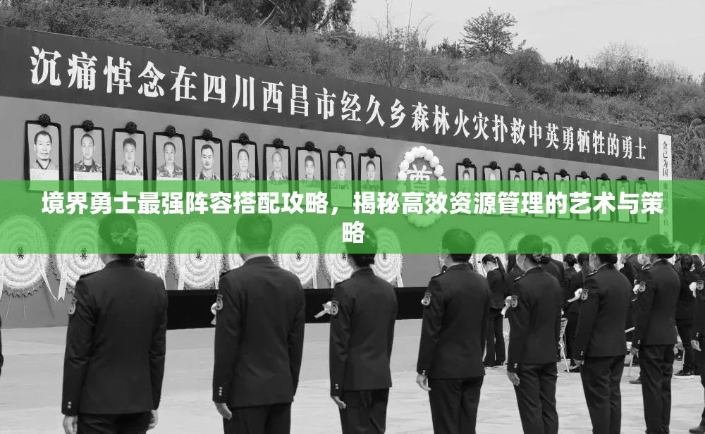 境界勇士最强阵容搭配攻略，揭秘高效资源管理的艺术与策略