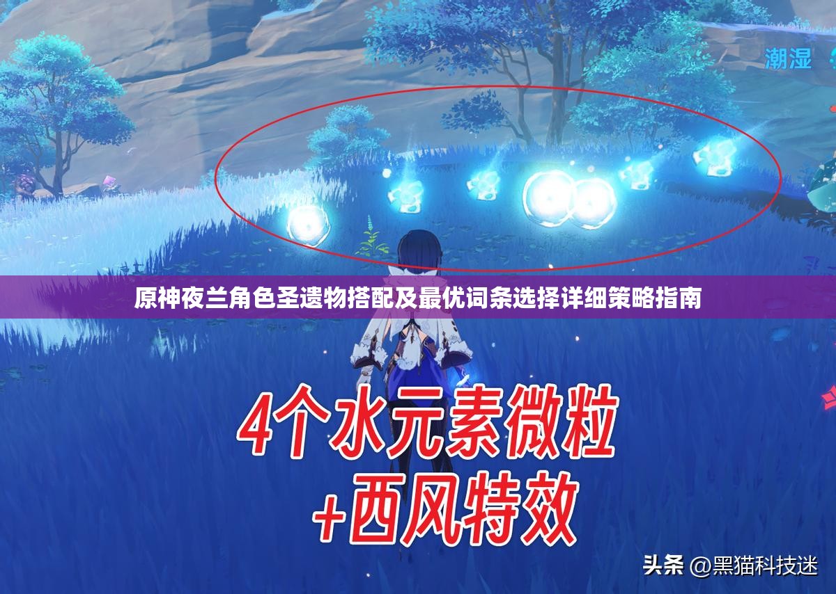 原神夜兰角色圣遗物搭配及最优词条选择详细策略指南