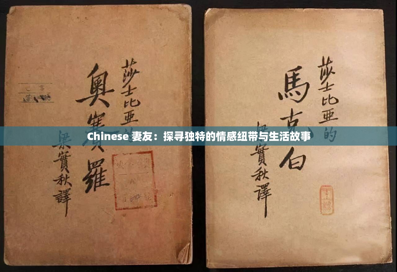 Chinese 妻友：探寻独特的情感纽带与生活故事