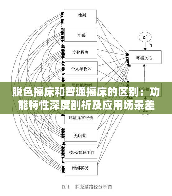 脱色摇床和普通摇床的区别：功能特性深度剖析及应用场景差异