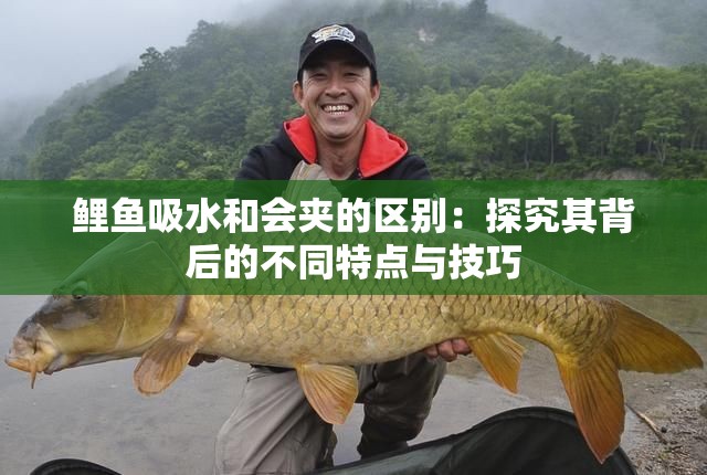 鲤鱼吸水和会夹的区别：探究其背后的不同特点与技巧