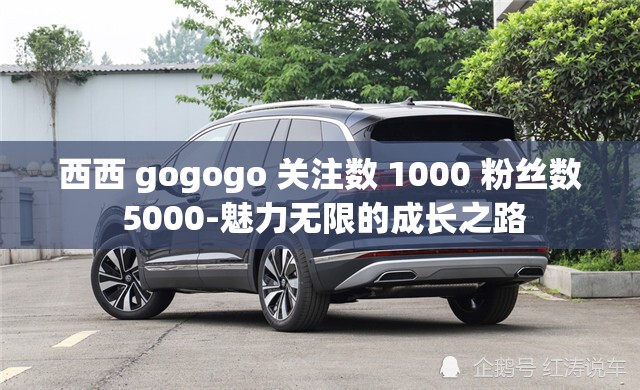 西西 gogogo 关注数 1000 粉丝数 5000-魅力无限的成长之路