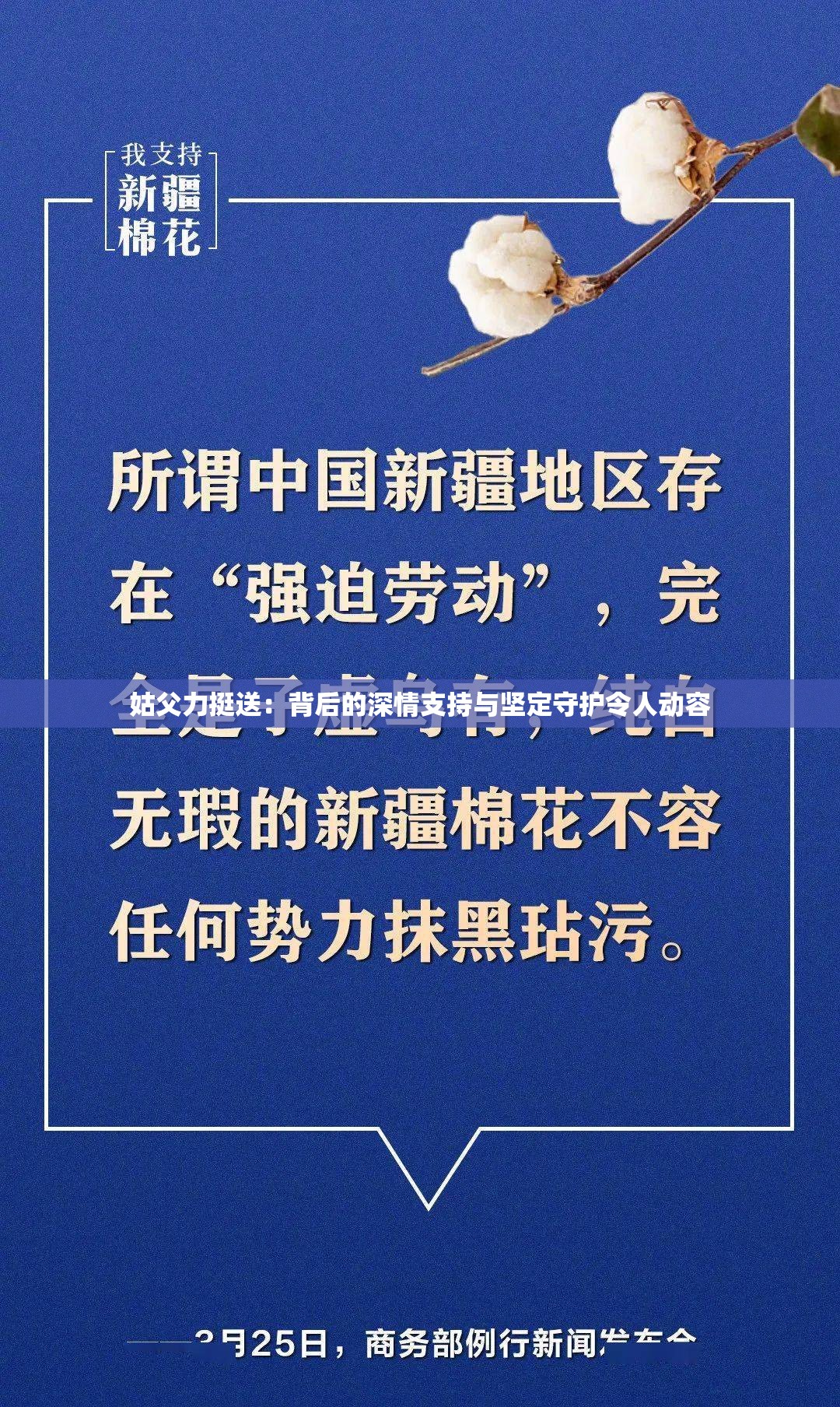 姑父力挺送：背后的深情支持与坚定守护令人动容