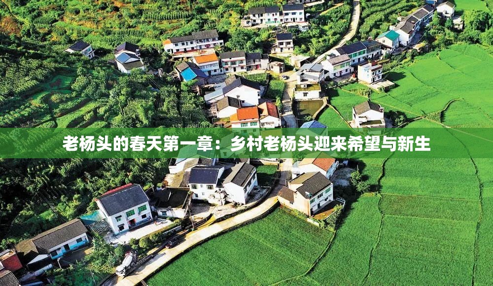 老杨头的春天第一章：乡村老杨头迎来希望与新生
