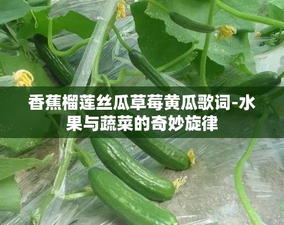 香蕉榴莲丝瓜草莓黄瓜歌词-水果与蔬菜的奇妙旋律