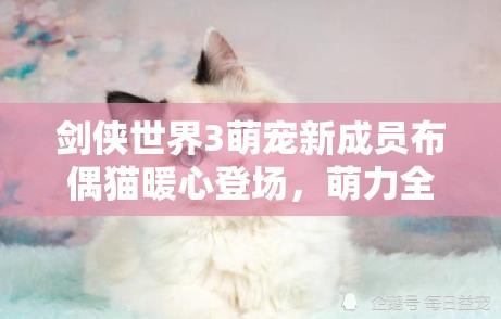 剑侠世界3萌宠新成员布偶猫暖心登场，萌力全开陪伴玩家闯荡江湖