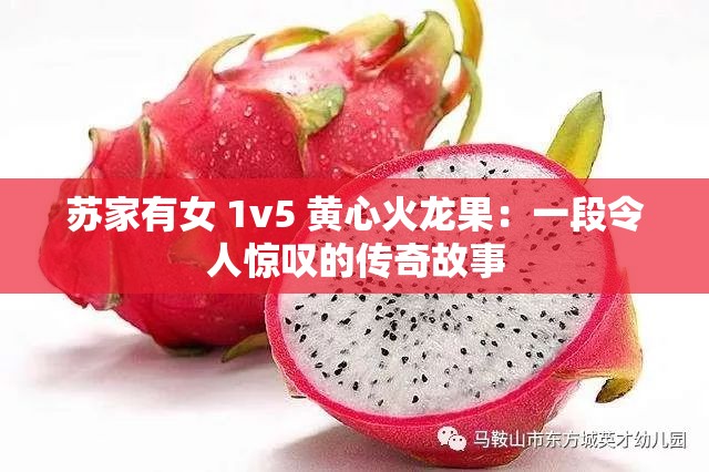 苏家有女 1v5 黄心火龙果：一段令人惊叹的传奇故事