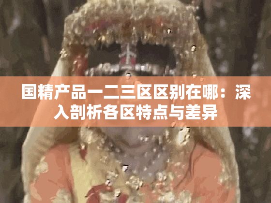 国精产品一二三区区别在哪：深入剖析各区特点与差异
