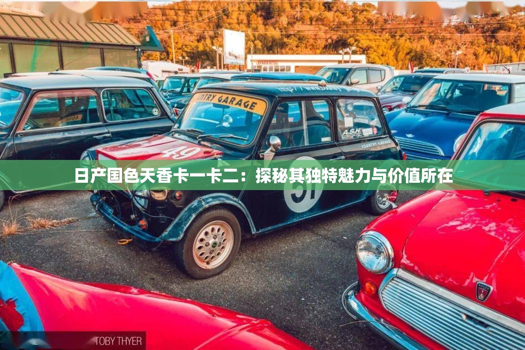 日产国色天香卡一卡二：探秘其独特魅力与价值所在
