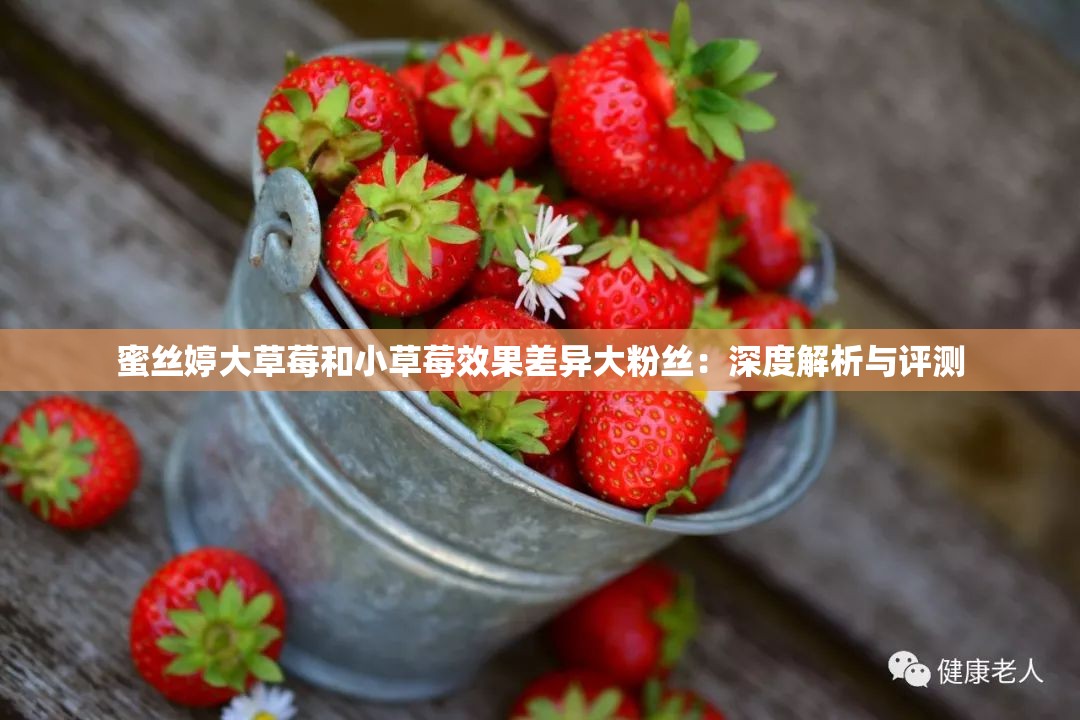 蜜丝婷大草莓和小草莓效果差异大粉丝：深度解析与评测