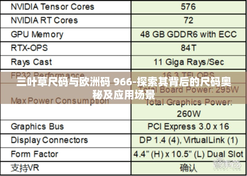 三叶草尺码与欧洲码 966-探索其背后的尺码奥秘及应用场景