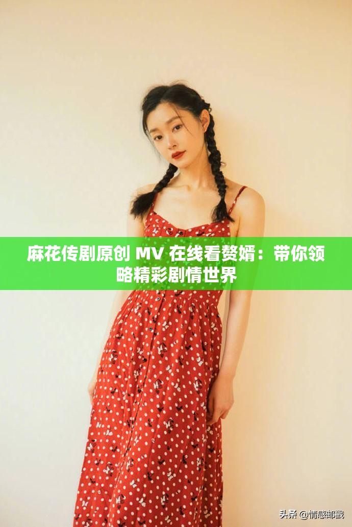 麻花传剧原创 MV 在线看赘婿：带你领略精彩剧情世界