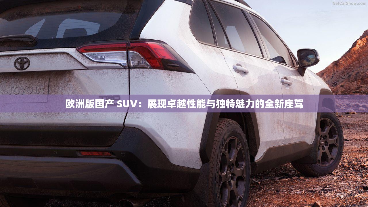 欧洲版国产 SUV：展现卓越性能与独特魅力的全新座驾