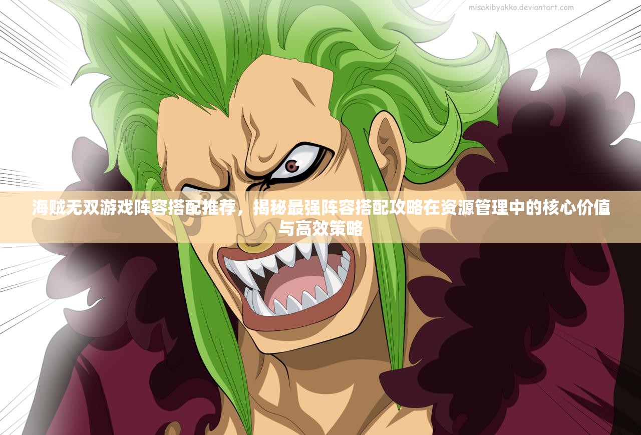 海贼无双游戏阵容搭配推荐，揭秘最强阵容搭配攻略在资源管理中的核心价值与高效策略