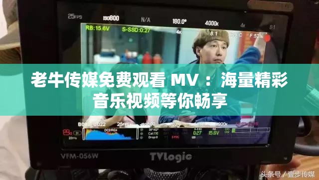 老牛传媒免费观看 MV ：海量精彩音乐视频等你畅享