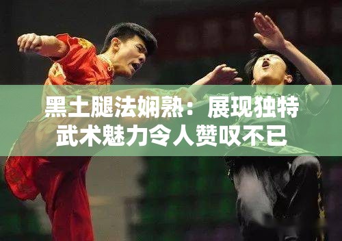 黑土腿法娴熟：展现独特武术魅力令人赞叹不已