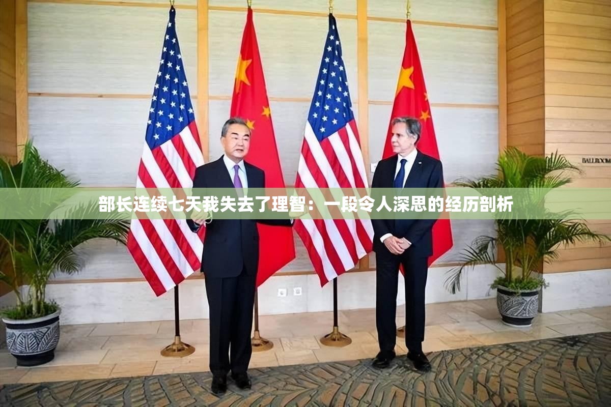 部长连续七天我失去了理智：一段令人深思的经历剖析