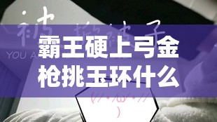 霸王硬上弓金枪挑玉环什么意思：探究其背后的含义与隐喻