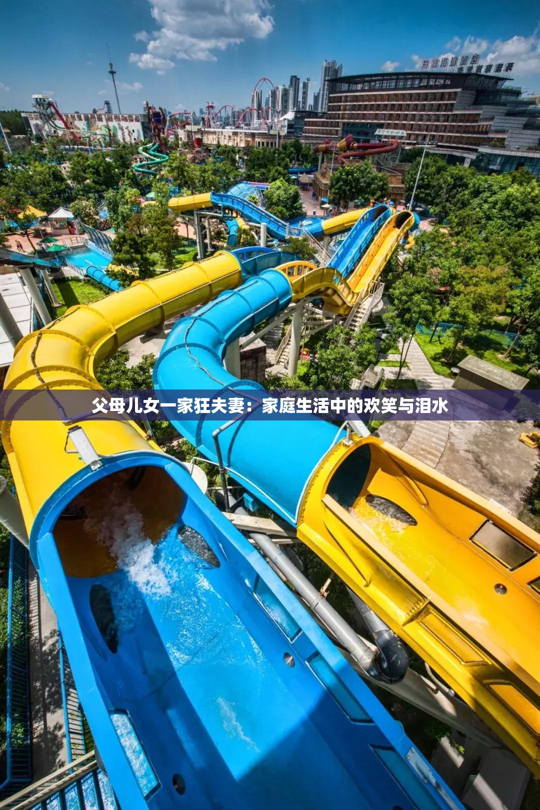 父母儿女一家狂夫妻：家庭生活中的欢笑与泪水