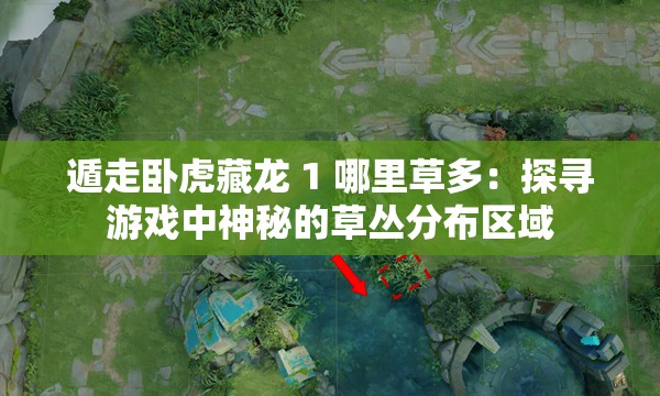 遁走卧虎藏龙 1 哪里草多：探寻游戏中神秘的草丛分布区域