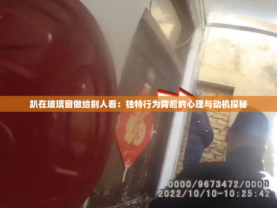 趴在玻璃窗做给别人看：独特行为背后的心理与动机探秘