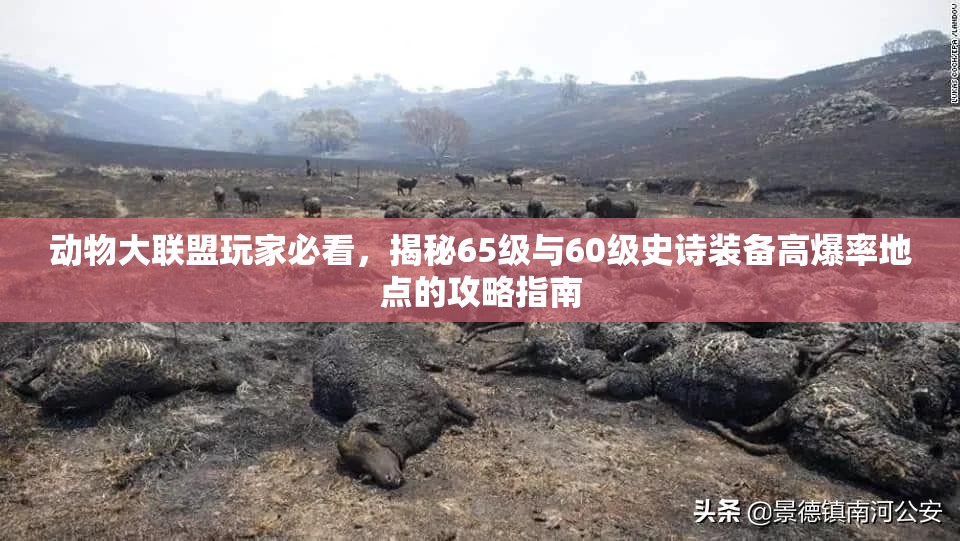 动物大联盟玩家必看，揭秘65级与60级史诗装备高爆率地点的攻略指南