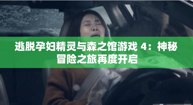 逃脱孕妇精灵与森之馆游戏 4：神秘冒险之旅再度开启