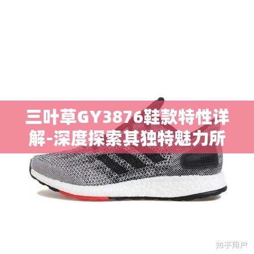 三叶草GY3876鞋款特性详解-深度探索其独特魅力所在