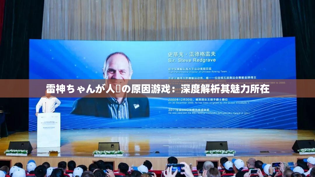 雷神ちゃんが人気の原因游戏：深度解析其魅力所在