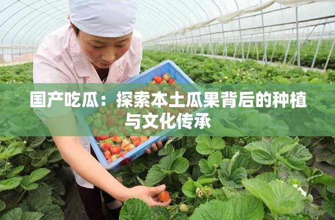 国产吃瓜：探索本土瓜果背后的种植与文化传承
