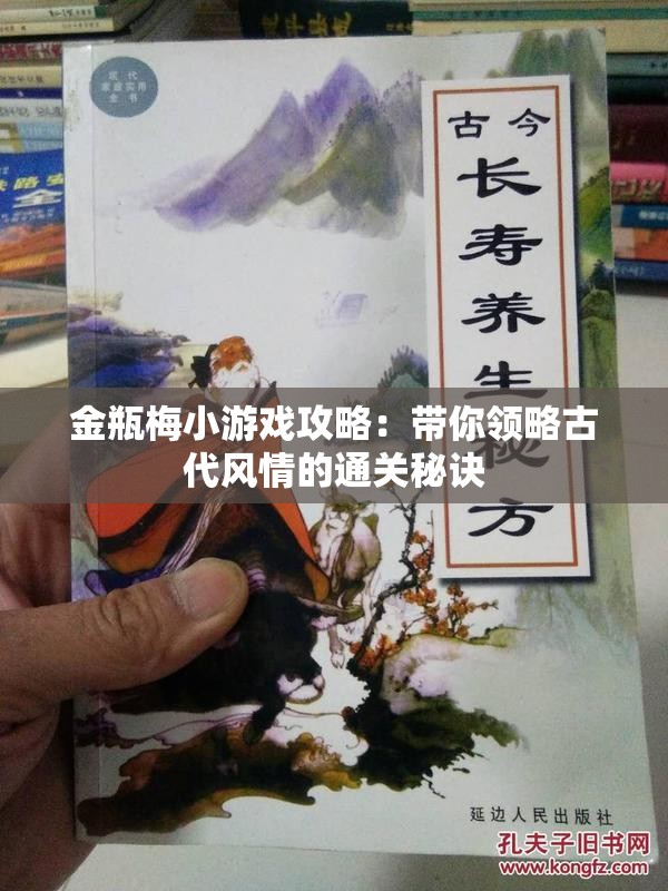 金瓶梅小游戏攻略：带你领略古代风情的通关秘诀
